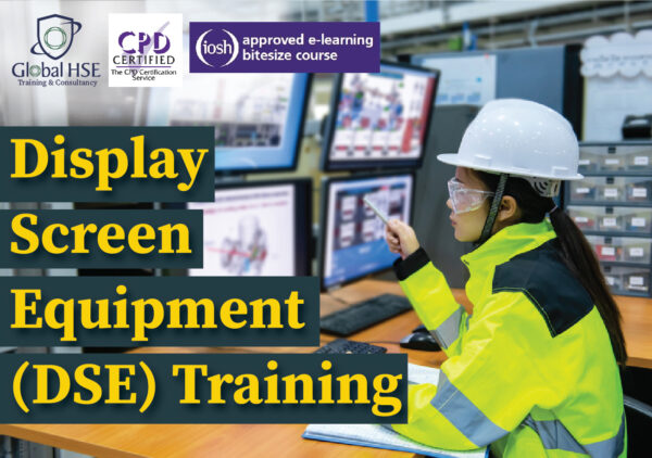 Display Screen Equipment (DSE) Training | 8-08-2025 | Online